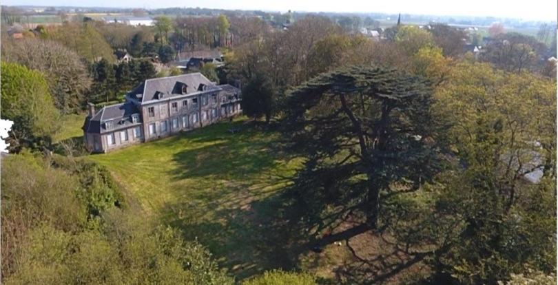 Les Gites Du Chateau Du Cedre Manneville-ès-Plains Kültér fotó