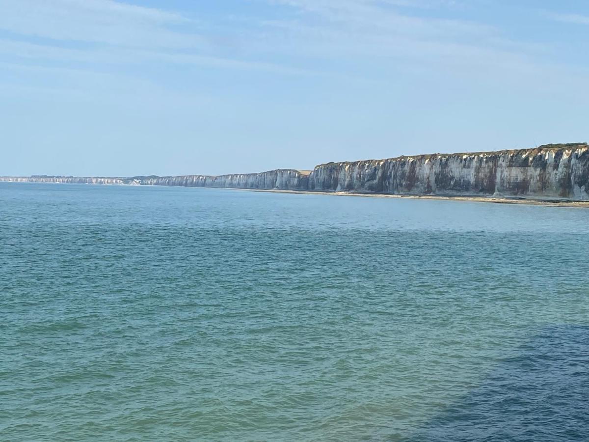 Les Gites Du Chateau Du Cedre Manneville-ès-Plains Kültér fotó